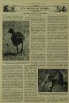 Illustrated London News Saturday 22 October 1960 Page 46