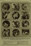 Illustrated London News Saturday 12 November 1960 Page 43