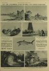 Illustrated London News Saturday 18 February 1961 Page 29