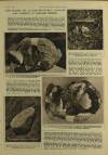 Illustrated London News Saturday 04 March 1961 Page 21