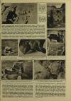 Illustrated London News Saturday 08 April 1961 Page 31