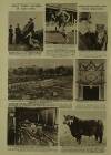 Illustrated London News Saturday 17 February 1962 Page 10