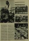 Illustrated London News Saturday 22 May 1965 Page 23