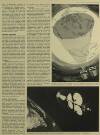 Illustrated London News Saturday 01 February 1969 Page 15