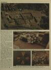 Illustrated London News Monday 01 December 1980 Page 67