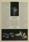 Illustrated London News Thursday 08 March 1990 Page 33