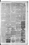 Kirkintilloch Herald Wednesday 12 April 1916 Page 3