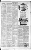 Kirkintilloch Herald Wednesday 12 April 1916 Page 7