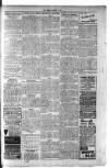 Kirkintilloch Herald Wednesday 19 April 1916 Page 3