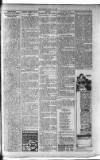 Kirkintilloch Herald Wednesday 19 April 1916 Page 7