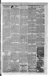 Kirkintilloch Herald Wednesday 31 May 1916 Page 3