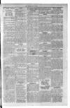 Kirkintilloch Herald Wednesday 31 May 1916 Page 5