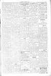 Kirkintilloch Herald Wednesday 31 October 1917 Page 5