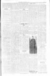 Kirkintilloch Herald Wednesday 19 February 1919 Page 5