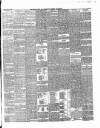 Waltham Abbey and Cheshunt Weekly Telegraph Friday 29 June 1883 Page 3