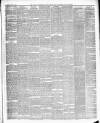 Waltham Abbey and Cheshunt Weekly Telegraph Friday 19 April 1889 Page 3