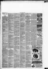 Aberdare Times Saturday 09 April 1892 Page 3