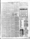 County Express; Brierley Hill, Stourbridge, Kidderminster, and Dudley News Saturday 05 October 1867 Page 3