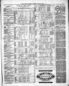 County Express; Brierley Hill, Stourbridge, Kidderminster, and Dudley News Saturday 12 June 1869 Page 3