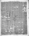 County Express; Brierley Hill, Stourbridge, Kidderminster, and Dudley News Saturday 19 June 1869 Page 5