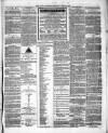 County Express; Brierley Hill, Stourbridge, Kidderminster, and Dudley News Saturday 19 June 1869 Page 7