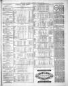 County Express; Brierley Hill, Stourbridge, Kidderminster, and Dudley News Saturday 28 August 1869 Page 3