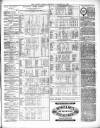 County Express; Brierley Hill, Stourbridge, Kidderminster, and Dudley News Saturday 13 November 1869 Page 3