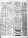 County Express; Brierley Hill, Stourbridge, Kidderminster, and Dudley News Saturday 16 April 1870 Page 3