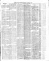 County Express; Brierley Hill, Stourbridge, Kidderminster, and Dudley News Saturday 07 March 1874 Page 3