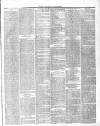 County Express; Brierley Hill, Stourbridge, Kidderminster, and Dudley News Saturday 19 September 1874 Page 3