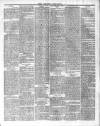 County Express; Brierley Hill, Stourbridge, Kidderminster, and Dudley News Saturday 31 October 1874 Page 3