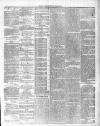 County Express; Brierley Hill, Stourbridge, Kidderminster, and Dudley News Saturday 14 November 1874 Page 5