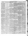 County Express; Brierley Hill, Stourbridge, Kidderminster, and Dudley News Saturday 20 February 1875 Page 3