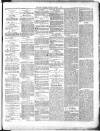 County Express; Brierley Hill, Stourbridge, Kidderminster, and Dudley News Saturday 17 June 1876 Page 5