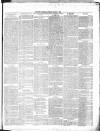 County Express; Brierley Hill, Stourbridge, Kidderminster, and Dudley News Saturday 08 January 1876 Page 3