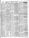 County Express; Brierley Hill, Stourbridge, Kidderminster, and Dudley News Saturday 28 June 1879 Page 3