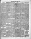 County Express; Brierley Hill, Stourbridge, Kidderminster, and Dudley News Saturday 13 September 1879 Page 3