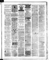 County Express; Brierley Hill, Stourbridge, Kidderminster, and Dudley News Saturday 02 September 1882 Page 7