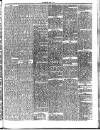 Midland Examiner and Times Saturday 06 March 1875 Page 5