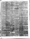 Midland Examiner and Times Saturday 05 June 1875 Page 3