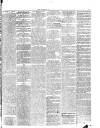 Midland Examiner and Times Saturday 03 July 1875 Page 3