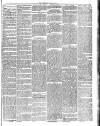 Midland Examiner and Times Saturday 24 July 1875 Page 3