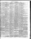 Midland Examiner and Times Saturday 20 November 1875 Page 3