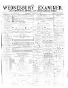 Midland Examiner and Times Saturday 17 June 1876 Page 1