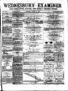 Midland Examiner and Times Saturday 10 June 1876 Page 1