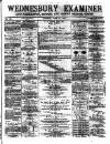 Midland Examiner and Times Saturday 24 June 1876 Page 1