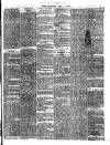 Midland Examiner and Times Saturday 01 July 1876 Page 3