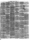 Midland Examiner and Times Saturday 19 August 1876 Page 3