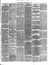 Midland Examiner and Times Saturday 18 November 1876 Page 3