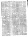 Belfast Weekly News Saturday 19 September 1874 Page 3